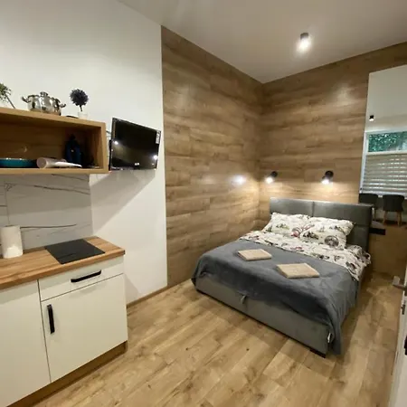 віп студія по вулиці крехівській 6 біля візового центру на джерельній Lviv