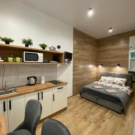 віп студія по вулиці крехівській 6 біля візового центру на джерельній Appartement Lviv