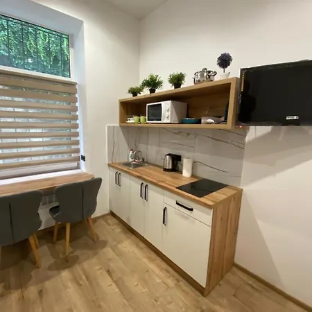 віп студія по вулиці крехівській 6 біля візового центру на джерельній Lviv