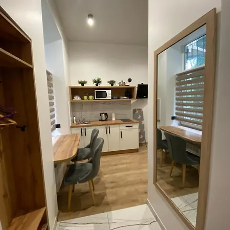 Apartment віп студія по вулиці крехівській 6 біля візового центру на джерельній Lviv