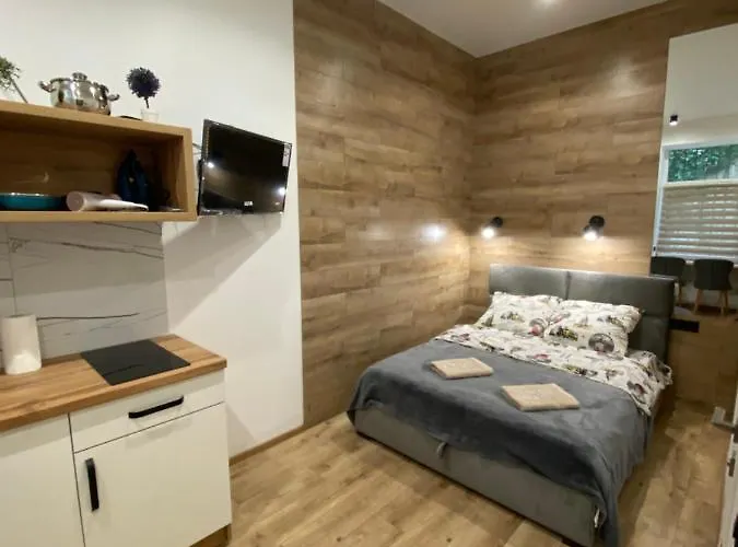 віп студія по вулиці крехівській 6 біля візового центру на джерельній Lviv