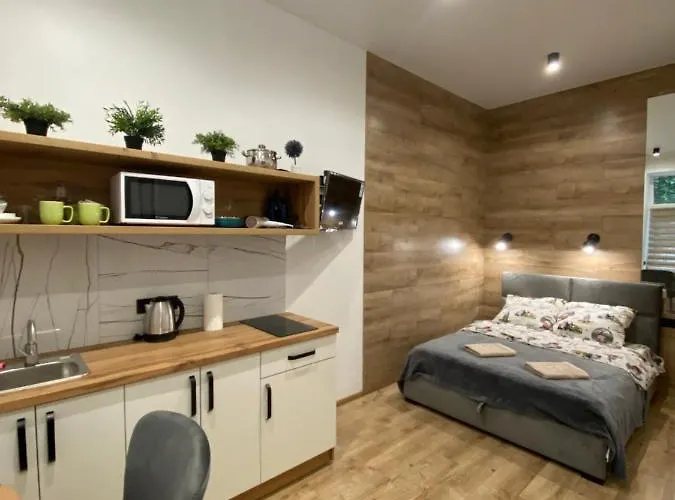 віп студія по вулиці крехівській 6 біля візового центру на джерельній Lägenhet Lviv