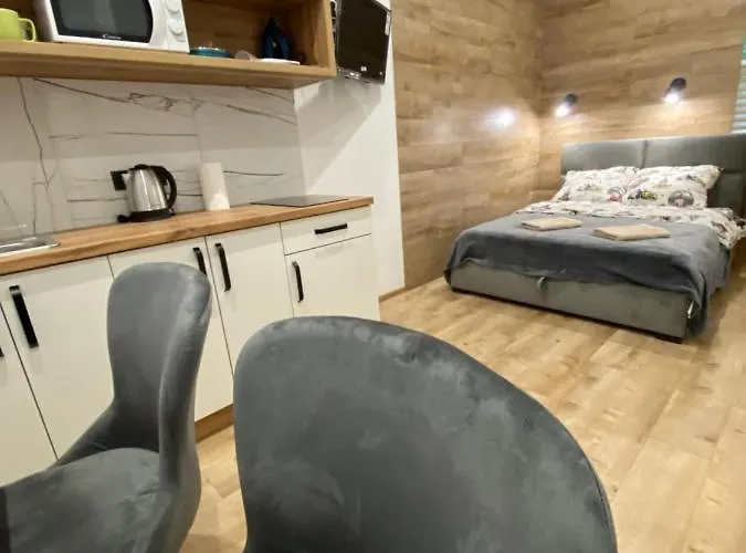 віп студія по вулиці крехівській 6 біля візового центру на джерельній * Lviv