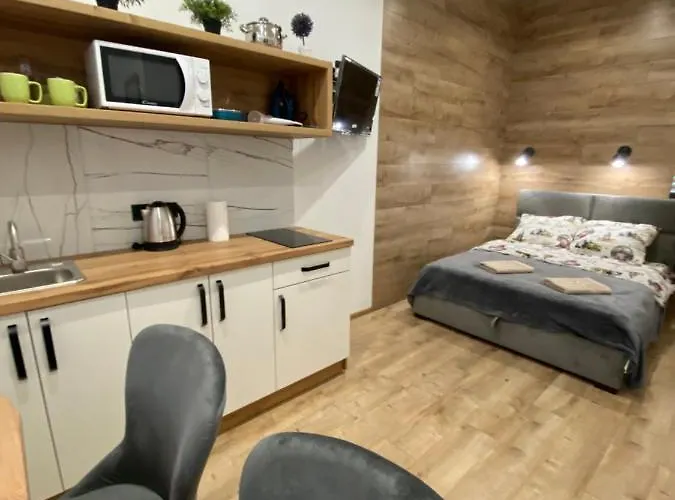 віп студія по вулиці крехівській 6 біля візового центру на джерельній Lägenhet *