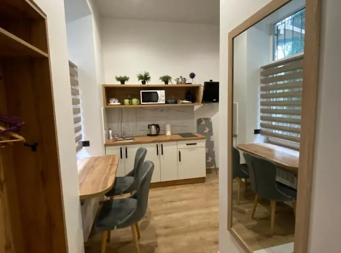 Apartmán віп студія по вулиці крехівській 6 біля візового центру на джерельній Lvov