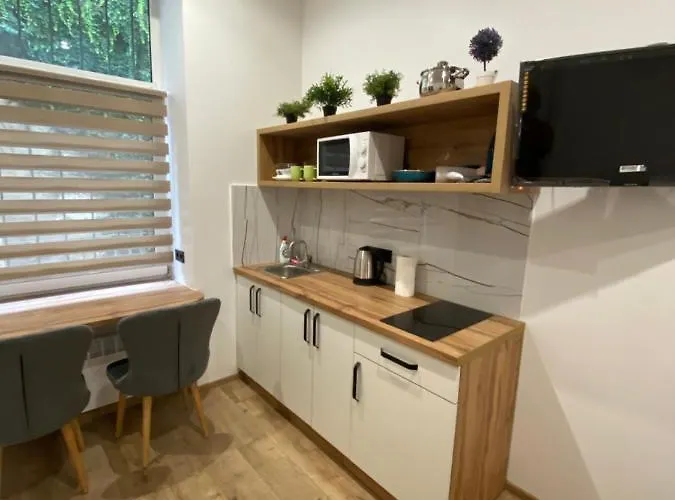 віп студія по вулиці крехівській 6 біля візового центру на джерельній Lvov