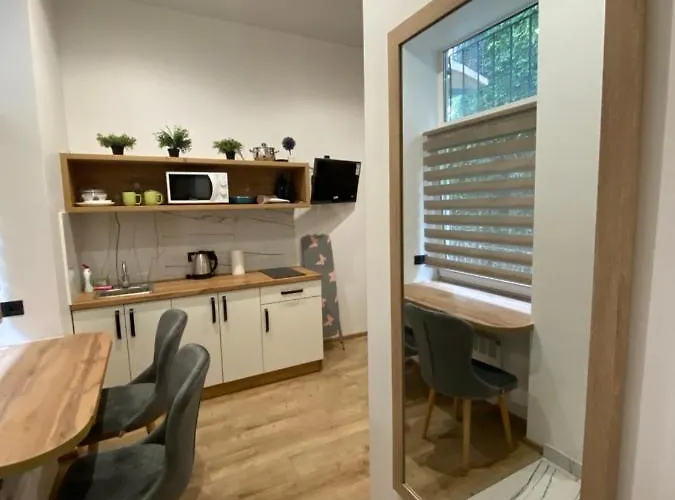 віп студія по вулиці крехівській 6 біля візового центру на джерельній * Lvov