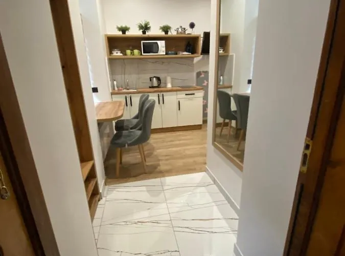 віп студія по вулиці крехівській 6 біля візового центру на джерельній Apartmán Lvov