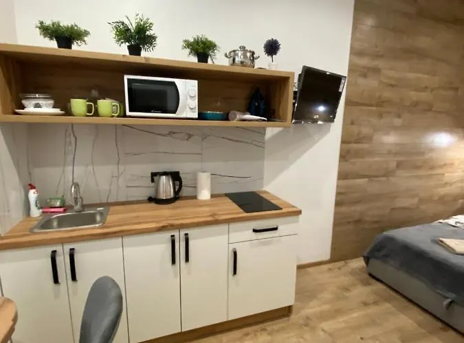 Apartmán віп студія по вулиці крехівській 6 біля візового центру на джерельній *